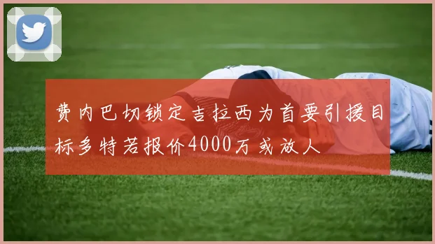 费内巴切锁定吉拉西为首要引援目标多特若报价4000万或放人